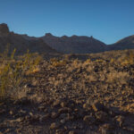 Mojave-Sonoran Trail Thru Hike Section 6 – Bullhead City to Lake Havasu 484