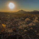 Mojave-Sonoran Trail Thru Hike Section 6 – Bullhead City to Lake Havasu 486