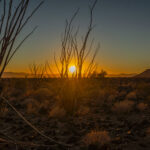 Mojave-Sonoran Trail Thru Hike Section 6 – Bullhead City to Lake Havasu 488