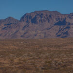 Mojave-Sonoran Trail Thru Hike Section 6 – Bullhead City to Lake Havasu 502