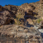 Mojave-Sonoran Trail Thru Hike Section 7 – Lake Havasu to Bouse 129