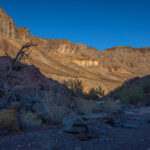 Mojave-Sonoran Trail Thru Hike Section 7 – Lake Havasu to Bouse 238