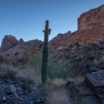 Mojave-Sonoran Trail Thru Hike Section 7 – Lake Havasu to Bouse 243