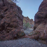 Mojave-Sonoran Trail Thru Hike Section 7 – Lake Havasu to Bouse 244