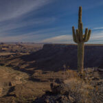 Mojave-Sonoran Trail Thru Hike Section 7 – Lake Havasu to Bouse 313