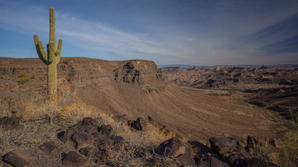 hiking the mesa buckskin mountains arizona overlooking bill williams river