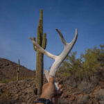 Mojave-Sonoran Trail Thru Hike Section 7 – Lake Havasu to Bouse 355