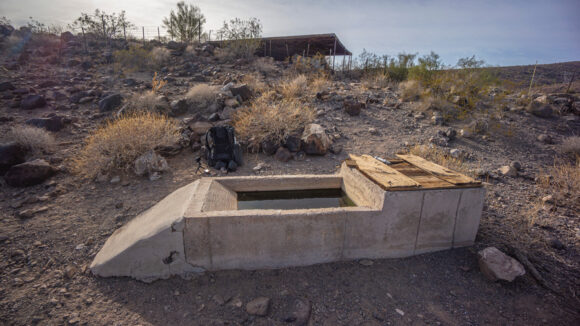 guzzler in the buckskin mountains arizona