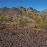 Mojave-Sonoran Trail Thru Hike Section 8 – Plamosa Mountains 038