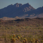 Mojave-Sonoran Trail Thru Hike Section 8 – Plamosa Mountains 050