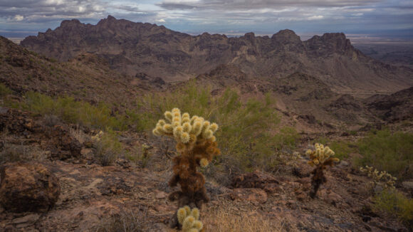 hiking the plamosa mountains quartzsite bouse arizona backpacking trip