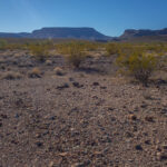 Mojave-Sonoran Trail Thru Hike Section 9 – Kofa Wilderness 012