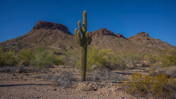 hiking ranegras plain to black mesa plamosa mountains arizona desert