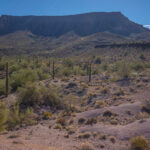 Mojave-Sonoran Trail Thru Hike Section 9 – Kofa Wilderness 016
