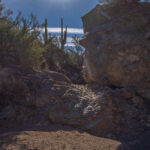 Mojave-Sonoran Trail Thru Hike Section 9 – Kofa Wilderness 018