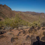 Mojave-Sonoran Trail Thru Hike Section 9 – Kofa Wilderness 025