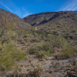 Mojave-Sonoran Trail Thru Hike Section 9 – Kofa Wilderness 026