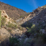 Mojave-Sonoran Trail Thru Hike Section 9 – Kofa Wilderness 029