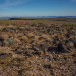Mojave-Sonoran Trail Thru Hike Section 9 – Kofa Wilderness 033