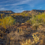 Mojave-Sonoran Trail Thru Hike Section 9 – Kofa Wilderness 060