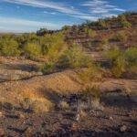 Mojave-Sonoran Trail Thru Hike Section 9 – Kofa Wilderness 061