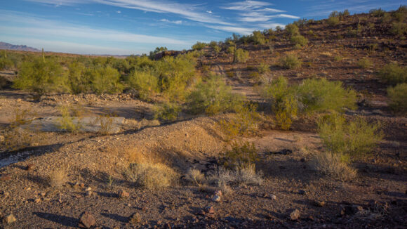 hiking black mesa plamosa mountains arizona desert