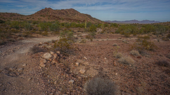 hiking ranegras plain to new water mountains arizona desert
