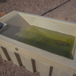 Mojave-Sonoran Trail Thru Hike Section 9 – Kofa Wilderness 083