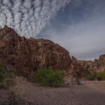 Mojave-Sonoran Trail Thru Hike Section 9 – Kofa Wilderness 092