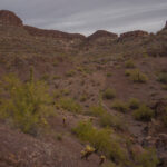 Mojave-Sonoran Trail Thru Hike Section 9 – Kofa Wilderness 113
