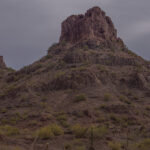 Mojave-Sonoran Trail Thru Hike Section 9 – Kofa Wilderness 120