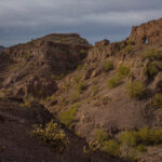 Mojave-Sonoran Trail Thru Hike Section 9 – Kofa Wilderness 144