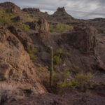 Mojave-Sonoran Trail Thru Hike Section 9 – Kofa Wilderness 146