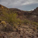 Mojave-Sonoran Trail Thru Hike Section 9 – Kofa Wilderness 166