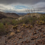 Mojave-Sonoran Trail Thru Hike Section 9 – Kofa Wilderness 168