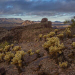 Mojave-Sonoran Trail Thru Hike Section 9 – Kofa Wilderness 181