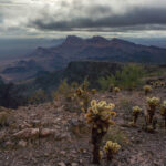 Mojave-Sonoran Trail Thru Hike Section 9 – New Water Mountains Crest