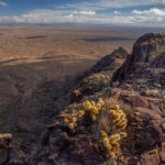 Mojave-Sonoran Trail Thru Hike Section 9 – Kofa Wilderness 211