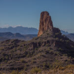 Mojave-Sonoran Trail Thru Hike Section 9 – Kofa Wilderness 227