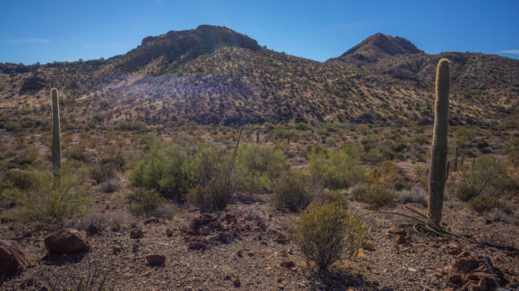 hiking kofa national lifelife refuge desert backpacking