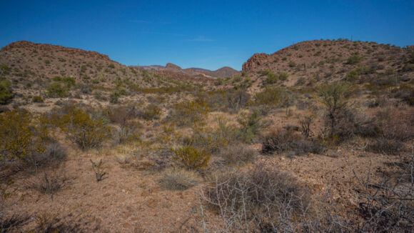 hiking kofa national lifelife refuge desert backpacking