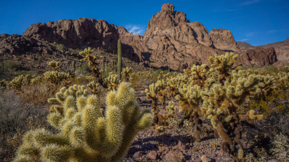 hiking the kofa mountains and kofa wilderness in arizona