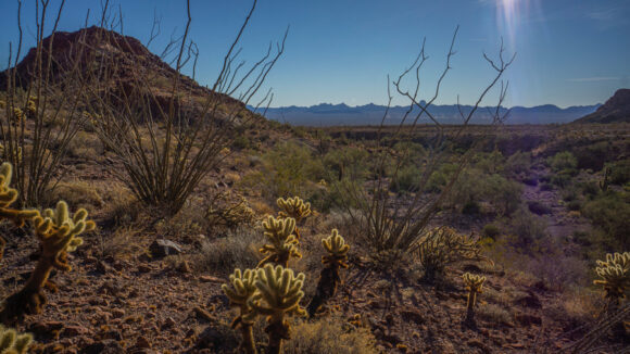 hiking the kofa mountains and kofa wilderness in arizona