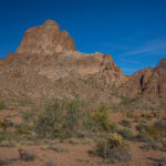 Mojave-Sonoran Trail Thru Hike Section 9 – Kofa Wilderness 368