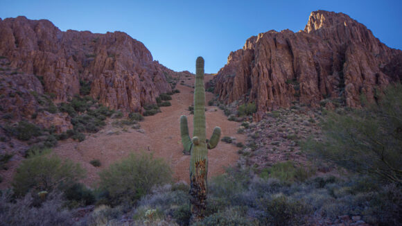 hiking the kofa mountains and kofa wilderness in arizona