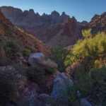 Mojave-Sonoran Trail Thru Hike Section 9 – Kofa Wilderness 382