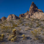 Mojave-Sonoran Trail Thru Hike Section 9 – Kofa Wilderness 452