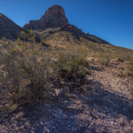 Mojave-Sonoran Trail Thru Hike Section 9 – Kofa Wilderness 454