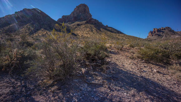 hiking the kofa mountains and kofa wilderness in arizona