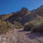 Mojave-Sonoran Trail Thru Hike Section 9 – Kofa Wilderness 456